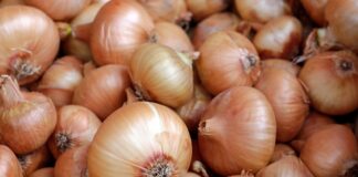 Експерти розповіли, чим підживити цибулю для багатого врожаю