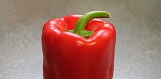 Як підгодувати перець пшоном