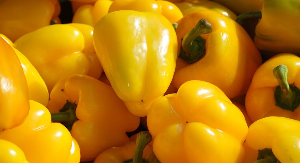 Що додати в лунку до розсади солодкого перцю, щоб він краще пішов у ріст: спробувала раз, тепер роблю завжди 