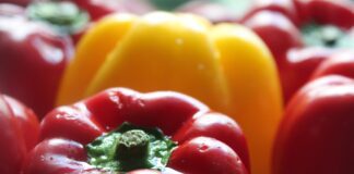 Кухарі назвали цікаві способи заготовки перцю на зиму