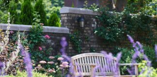 Що треба встигнути зробити до початку літа на дачі 