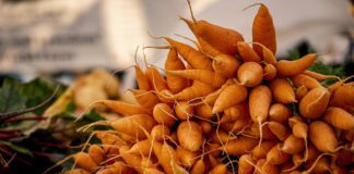 Експерти розповіли, коли викопувати моркву у 2024 році