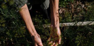 Експерти назвали 3 заборонених дати для роботи на городі у червні