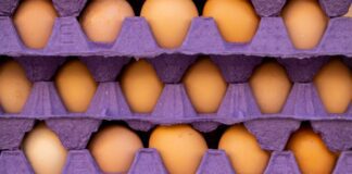 Найефективніші лайфхаки використання яєчних лотків у побуті: поради експертів