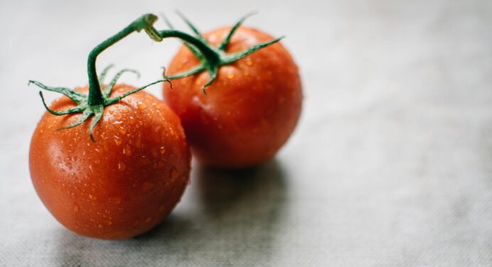 Ось що кладу в лунку до помідорів під час посадки, аби забути про підкормку на весь сезон: томати величезні! 