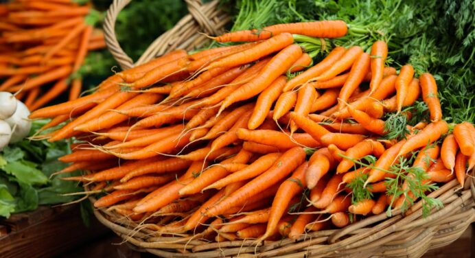 Всього 1 ложка цієї підкормки і в моркви відкривається “друге дихання”: виросте солодкою, великою та рівною 
