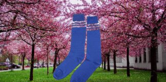 Садівники назвали найкращі методи боротьби з мурахами