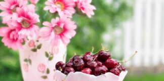 Садівники розповіли, чим підживити черешню для щедрого врожаю
