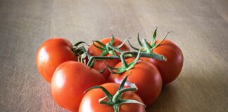 Городник розповів, чим полити помідори від чорної гнилі