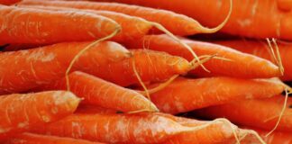 Як виростити ідеально солодку моркву на городі