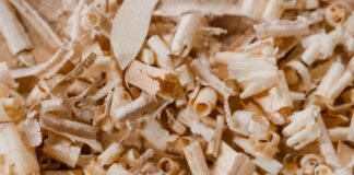 Городники назвали універсальний метод посіву огірків