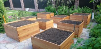 Мінуси високих грядок