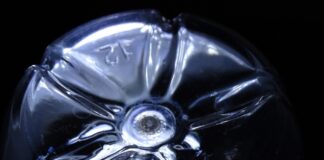 Садівник розповів, як відлякати птахів від саду за допомогою пустих пляшок