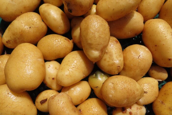 Експерти розповіли, як зробити добриво зі шкірки картоплі швидко та з мінімуму продуктів