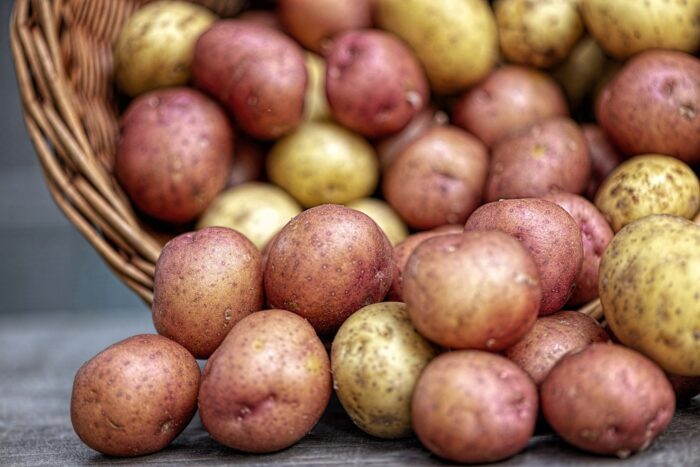 Експерти розповіли про цікавий лайфхак, який допоможе отримати щедрий врожай картоплі