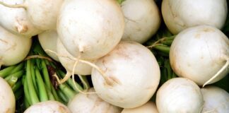 Городники назвали найкраще підживлення для редьки