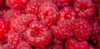 Чим обробити малину, щоб вона була без хробаків всередині 