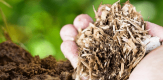 Експерти розповіли про плюси та мінуси використання тирси на городі