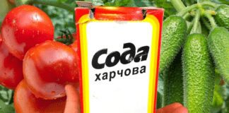 Городники розповіли про способи використання соди на городі