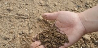 6 помилок, які призводять до погіршення стану ґрунту