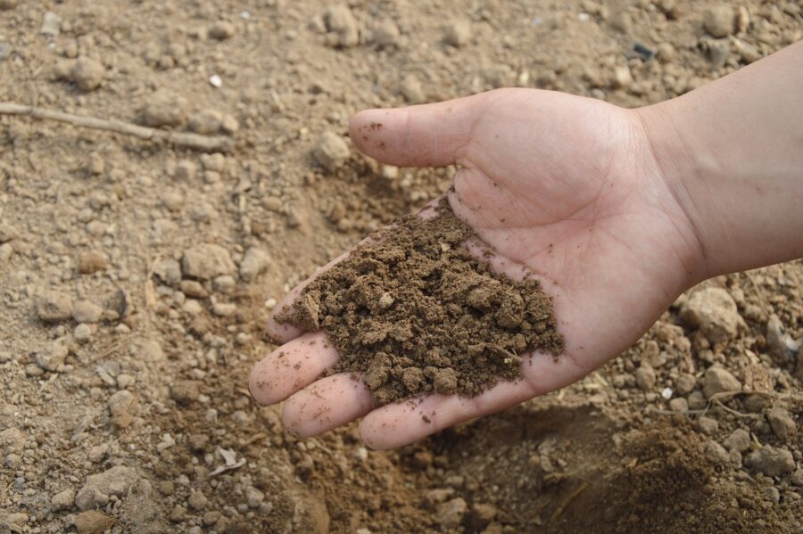 Експерти розповіли, які добрива не можна поєднувати, аби не зашкодити ґрунту на городі