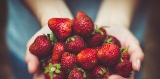 Дачники розповіли про серпневий догляд за полуницею