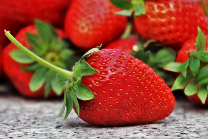 Як виростити на городі смачну та велику полуницю: поради від садівників 