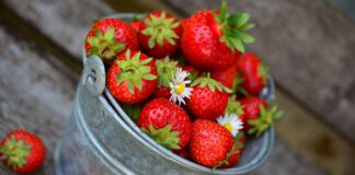 Чим обробити полуницю навесні
