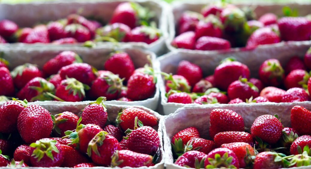 Моя полуниця з року в рік дає шалений врожай, а все ось чому: секрети збільшення приросту за один раз 