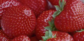 Найкращий сусід для полуниці