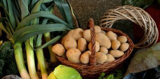 Яке добриво краще не застосовувати для картоплі 