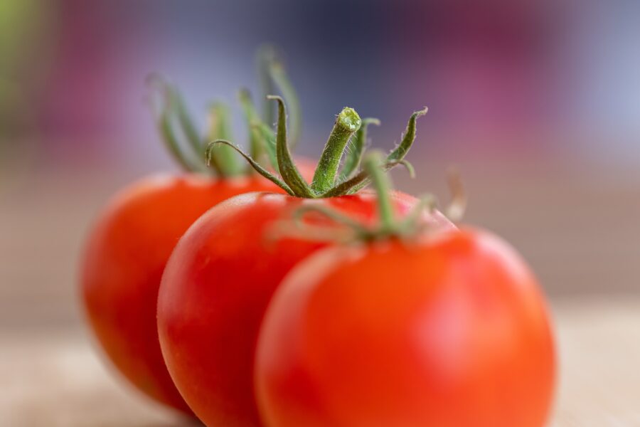 Експерти поділились порадами, як виростити щедрий врожай помідорів на власному городі
