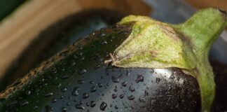 Рецепт добрива з вівсянки для баклажанів