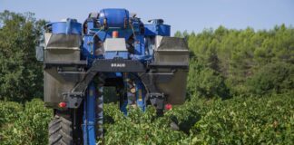 Експерти назвали 2 несприятливих дити для городніх робіт у червні