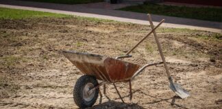 Як у травні підвищити врожайність городу: неймовірний спосіб