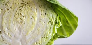 Найкраще добриво для капусти: поради від городників 