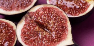 Як виростити інжир в домашніх умовах