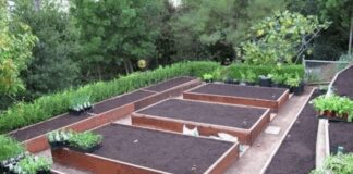 Як зробити деревʼяні грядки на городі