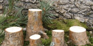 Як видалити пеньки з городу без використання селітри