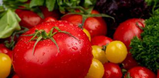 Городник розповів, як підвищити врожайність томатів без витрат