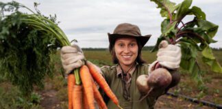 Експерти розповіли про ефективне підживлення моркви влітку