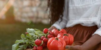 Городники розповіли, чим підживити овочі для для щедрого врожаю