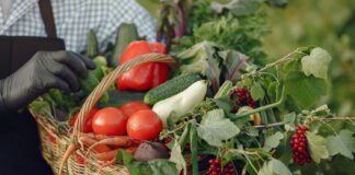 Експерти пояснили, як використовувати золу для вирощування рекордного врожаю овочів