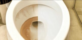 Господині розповіли, як легко відмити до блиску унітаз