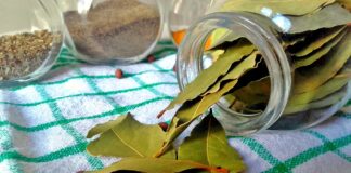 Як позбутись від запаху в туалеті