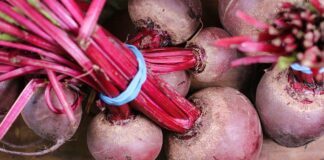 Городники розповіли про бюджетний спосіб підживлення буряків