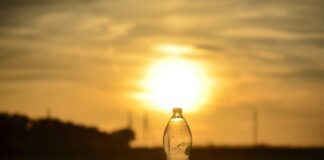 Експерти розповіли, навіщо вішати пляшки на паркан навколо городу