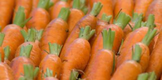 Експерти розповіли, коли і як правильно видаляти бадилля моркви
