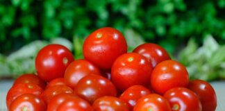 Городник назвав рецепт спрею від чорної гнилі томатів