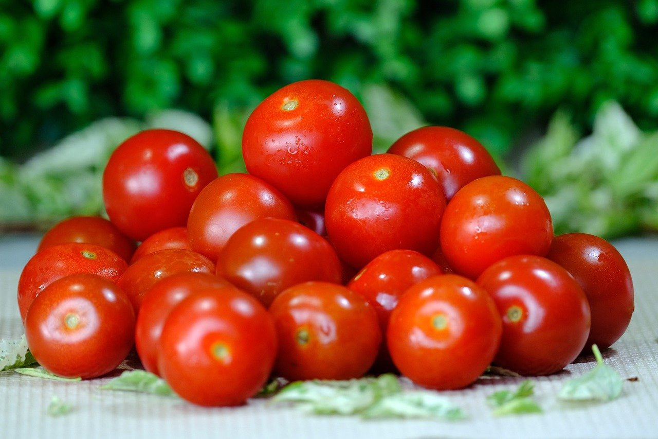 Експерти розповіли, як пришвидшити дозрівання томатів